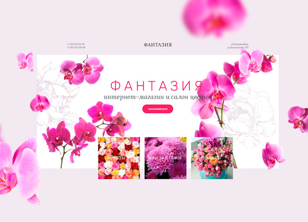 Фантазия Цветы Адреса Магазинов